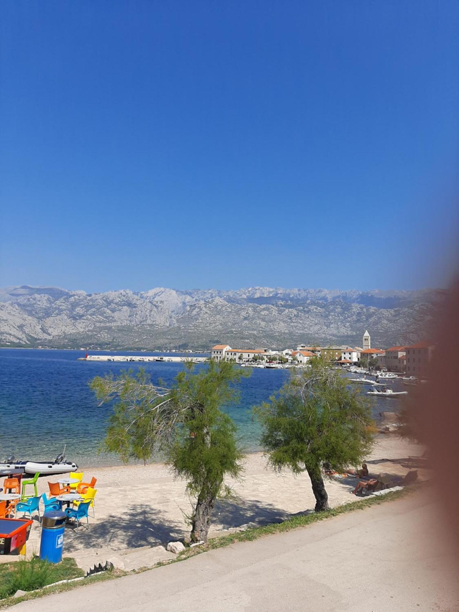 Nino Daire Zadar Oda fotoğraf